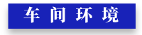 默認標題__2024-11-07+14_47_56.png